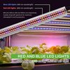 Ipower 70W 2 Bulb LED Grow Light with 4 Feet Foldable Stand Rack GLLEDXJMPS4FB2FOLD
